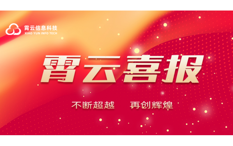 霄云科技荣膺“2024上海软件核心竞争力企业”殊荣