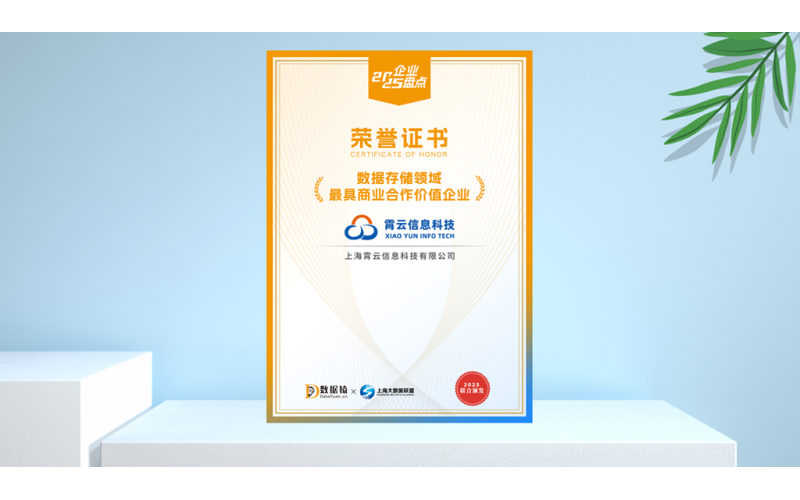 霄云科技入选《2025中国数据存储领域最具商业合作价值企业盘点》：以自主创新领跑智能存储新赛道