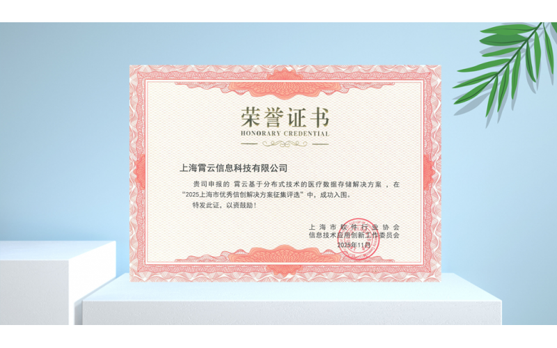 霄云科技《霄云基于分布式技术的医疗数据存储解决方案》入选2025年上海市优秀信创解决方案