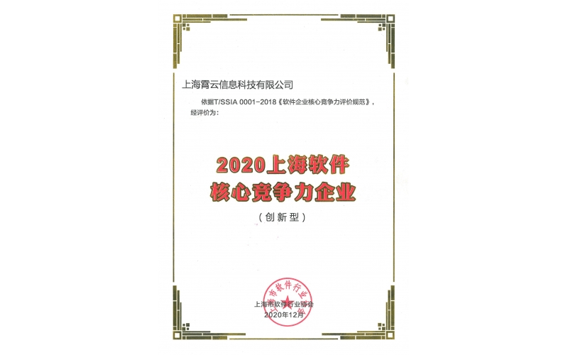 软件核心竞争力企业
