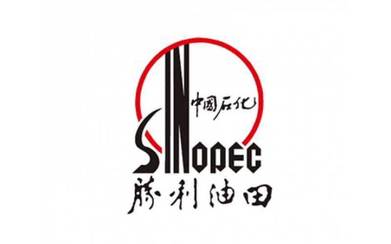 中国石油化工股份有限公司胜利油田分公司