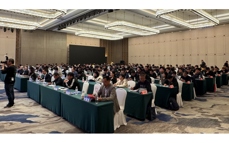 霄云科技亮相第九届山东雪野湖医疗网络安全论坛，高性能信创医疗影像存储方案赋能智慧医疗