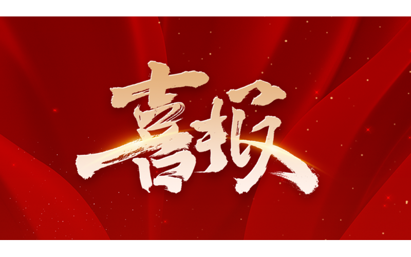 连续两年位居医疗分布式存储领导者象限！霄云科技获赛迪顾问权威认证